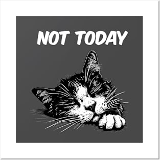 Not Today Funny Cat Posters and Art